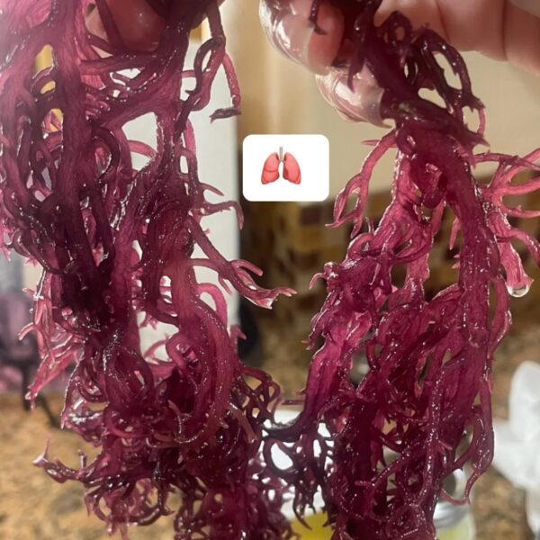 sea moss handful